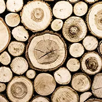 Holzbearbeitungsmaschinen Handel