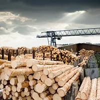 Holz-Industrie