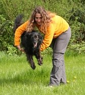 Click 'n' Trick - Spiel und Spass für Hunde mit Köpfchen in Mammolshain Stadt Königstein im Taunus - Logo