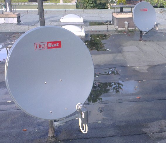 DP-Technik in Bad Honnef - Logo