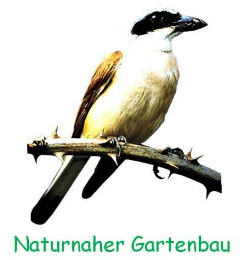 Naturnaher-Gartenbau M.Kotter in Dahl Stadt Hagen - Logo