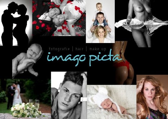 imago picta in Berlin - Logo