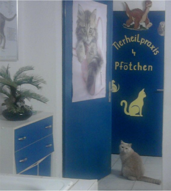 Bild