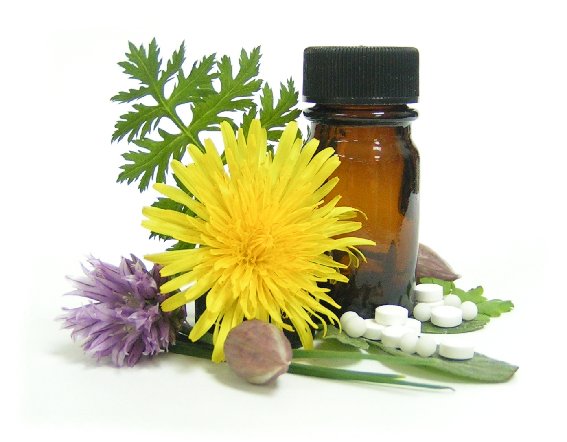 Benedetti, Verena Heilpraktikerin - Praxis für Klassische Homöopathie in Norderstedt - Logo