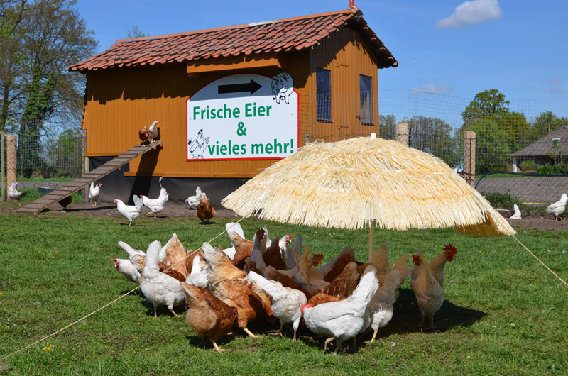 Bauernladen Rennegarbe in Stemwede - Logo