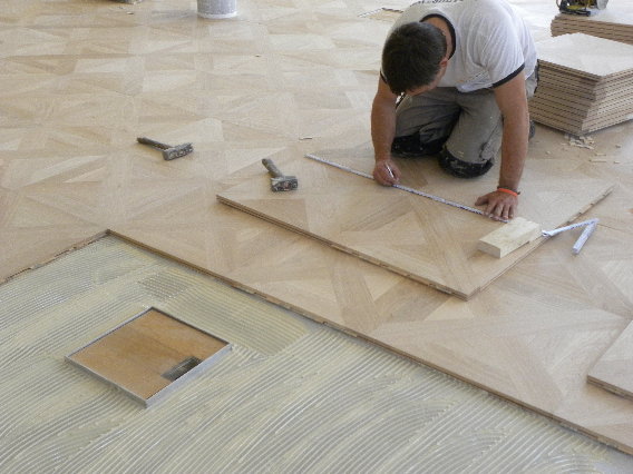 Bild