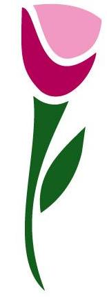 DOHR florales in Bremen - Logo
