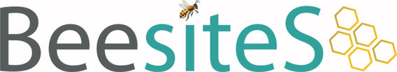 Webdesign BeesiteS in Berlin - Logo