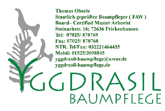Yggdrasil Baumpflege in Stuttgart - Logo