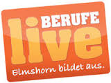 Security Ricke e.K. in Uetersen - Logo