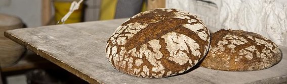 Holzofenbrot Frohnhöfer in Neumarkt in der Oberpfalz - Logo
