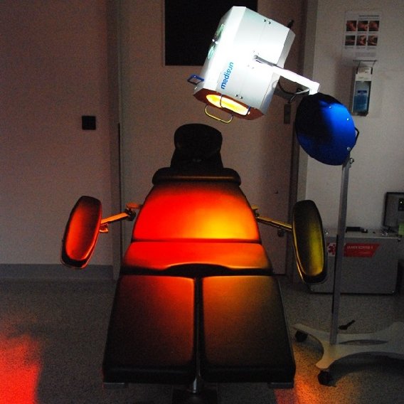 Bild