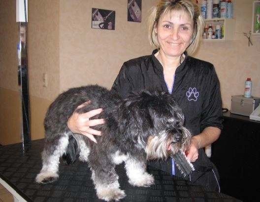Hundesalon - Für alle Felle in Weyhe bei Bremen - Logo