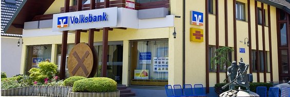 Volksbank Lahr eG - Filiale Rheinhausen in Rheinhausen im Breisgau - Logo