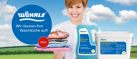Wöhrle Paul GmbH & Co KG. in Winnenden - Logo