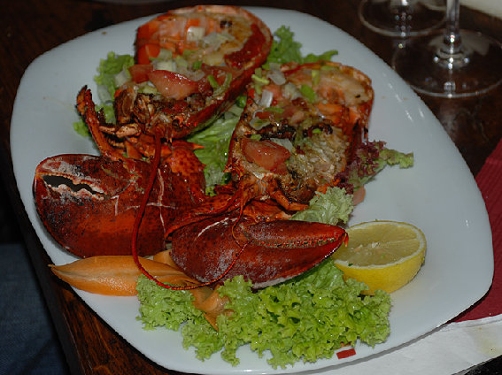 Ristorante - Pizzeria 