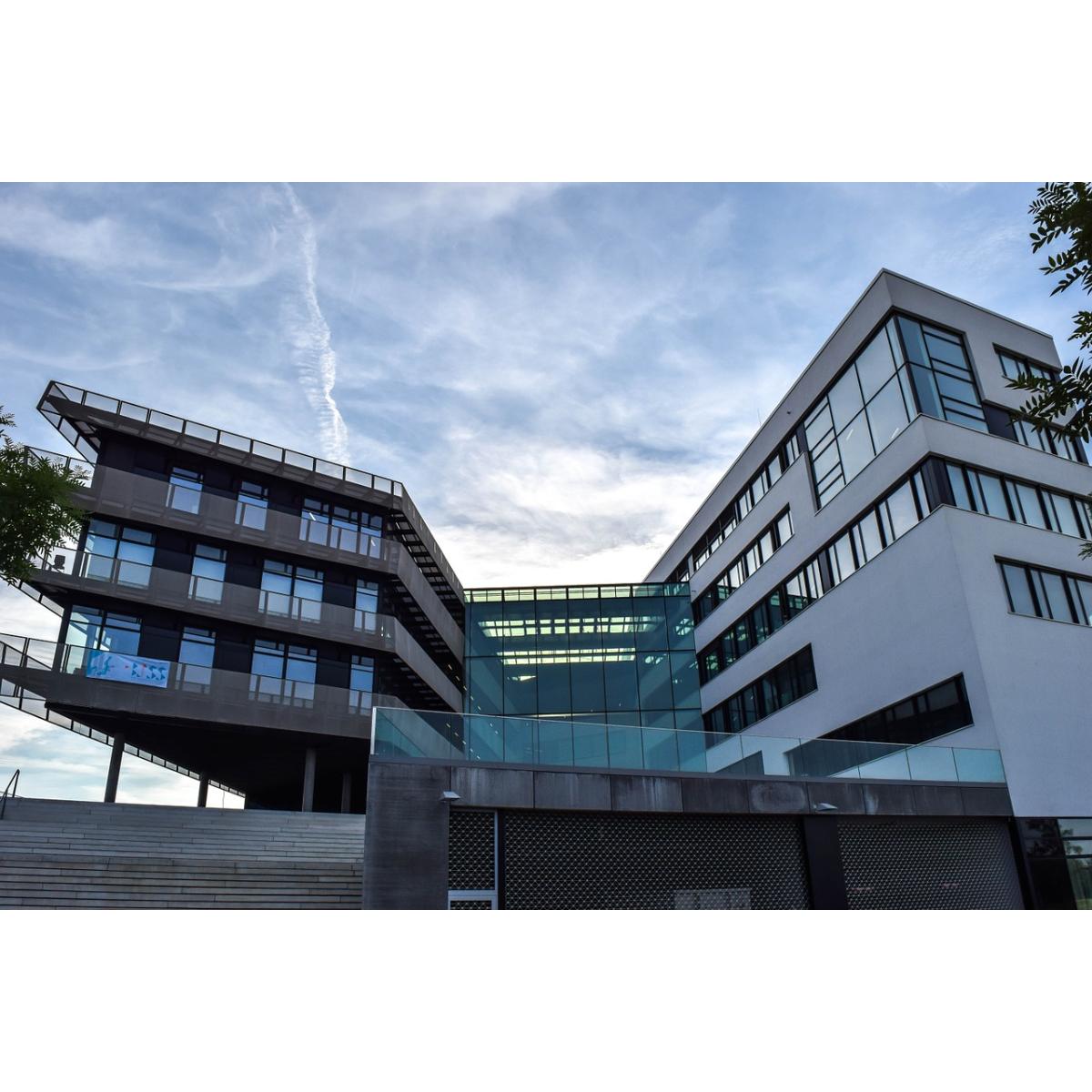 Avaxx - Systemdienstleistungen in Korntal Münchingen - Logo