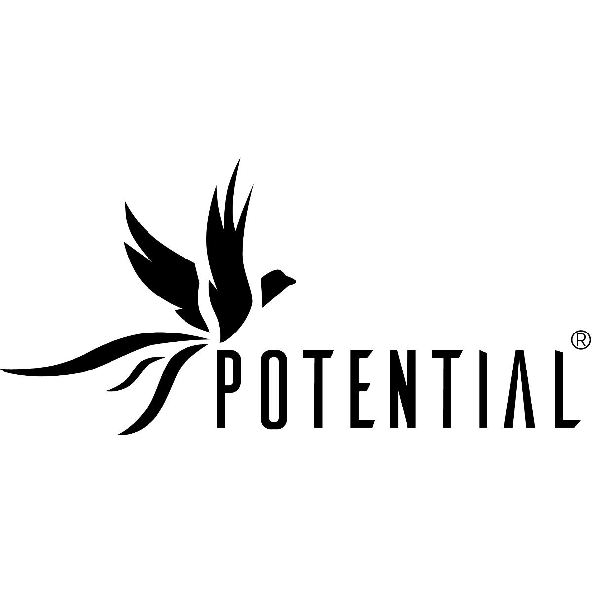 Potential ² GmbH in Frankfurt am Main - Logo