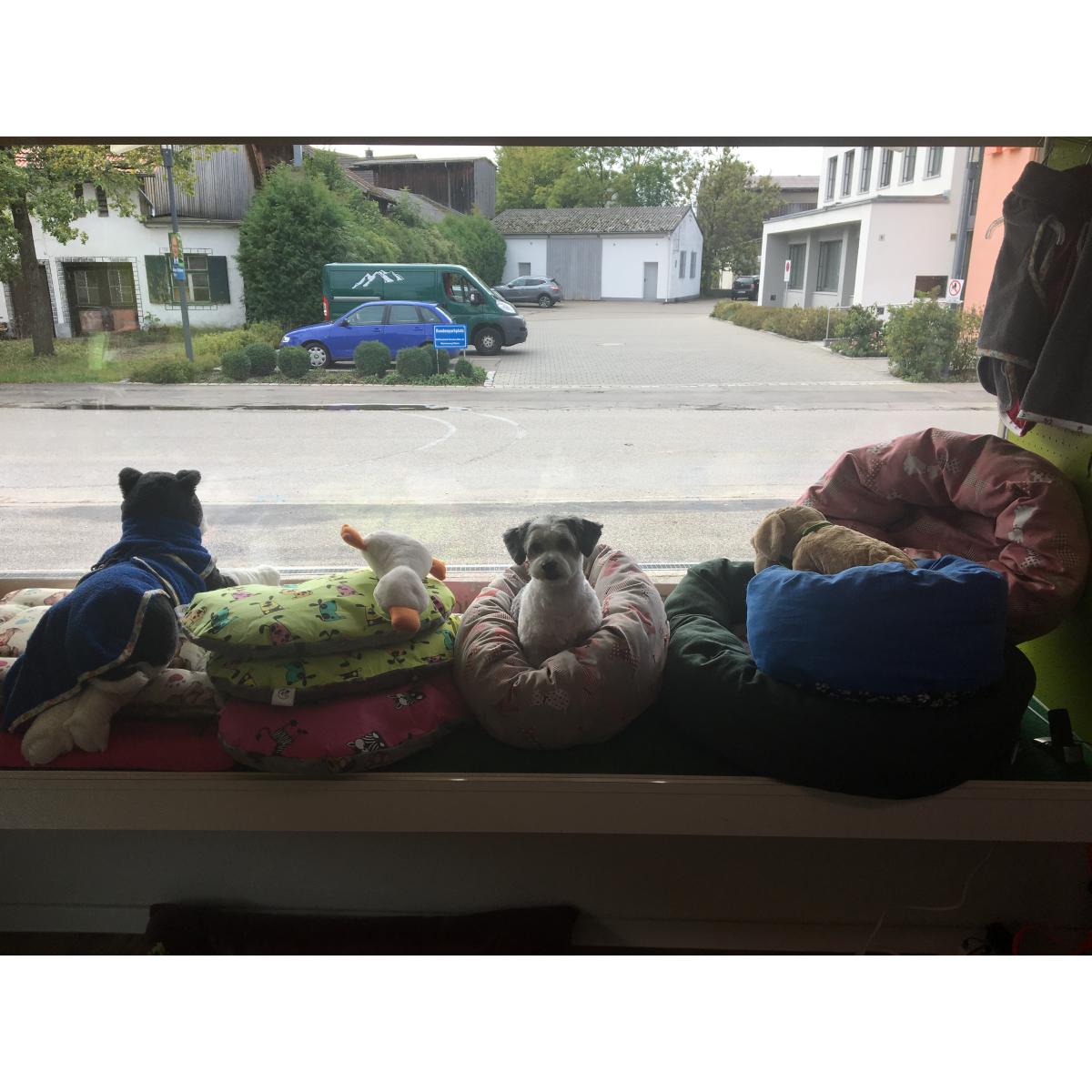 Fellgenau - Ihr Hundefriseur in Erkheim - Logo
