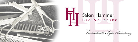 Salon Hammer GbR in Ahrweiler Stadt Bad Neuenahr Ahrweiler - Logo