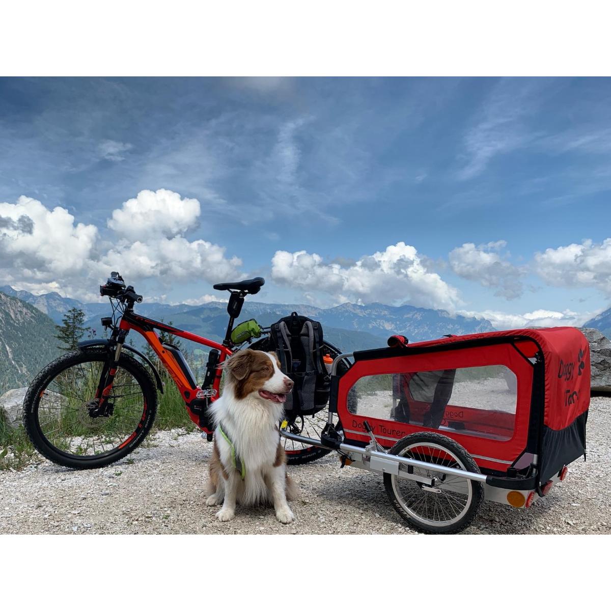 DoggyTourer in Straubenhardt - Logo