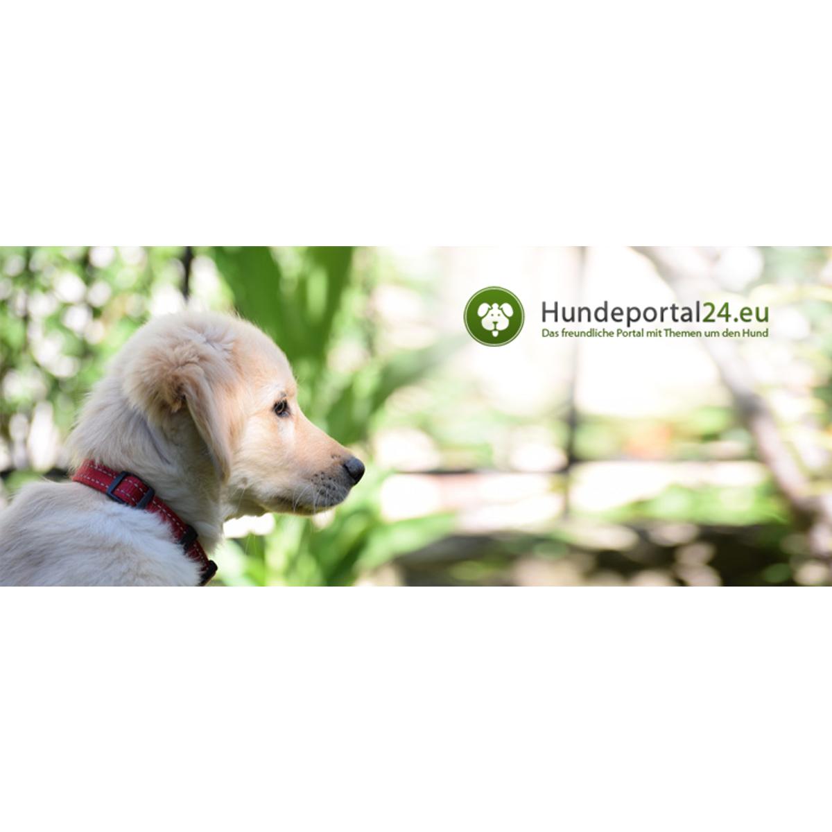 Hundeportal24.eu in Königslutter am Elm - Logo