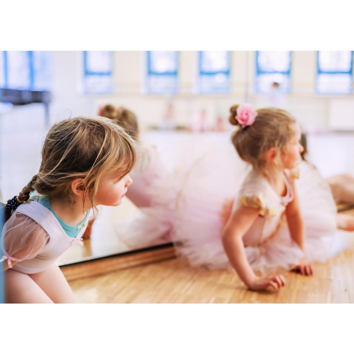 Die Tanzerei- Ballettschule, Fitness- und Kinderkurse Steffen Kranzow in Grevesmühlen - Logo