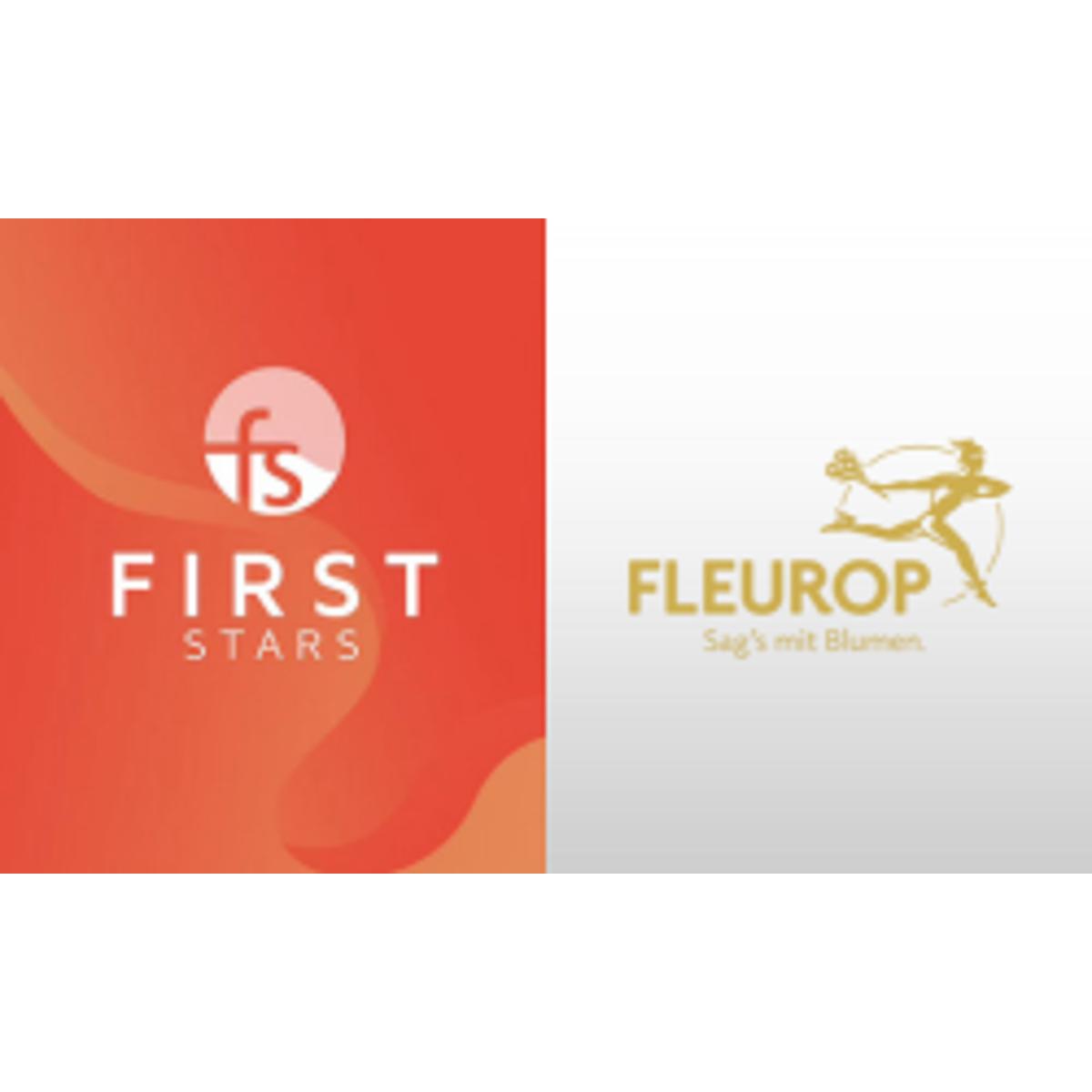 Performance Marketing Agentur FIRST STARS GmbH in Berlin - Logo