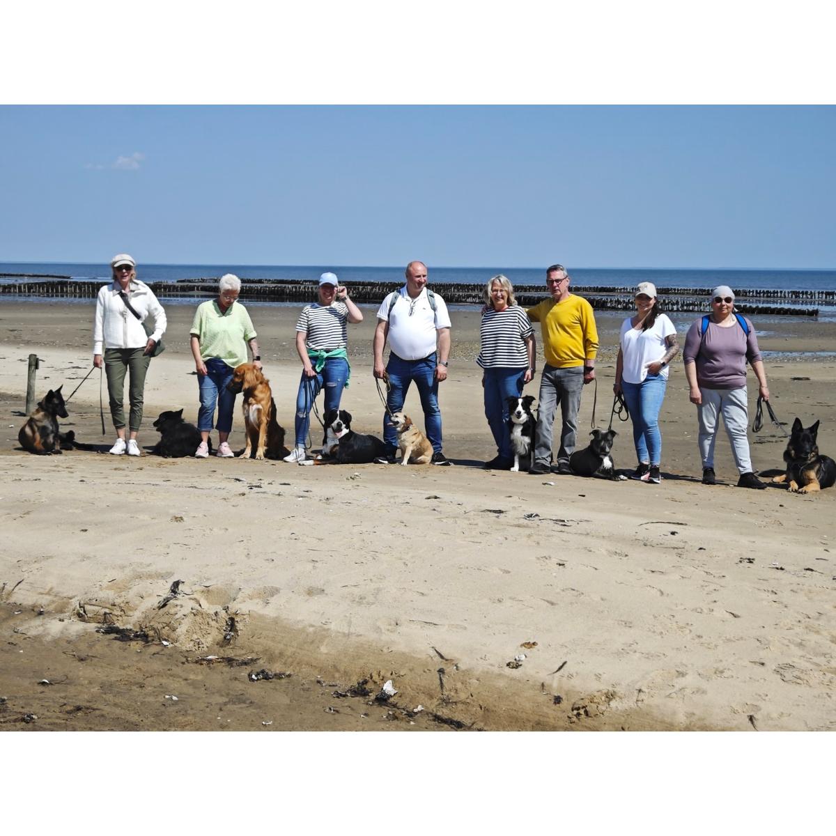 CANI.training in Rosbach vor der Höhe - Logo