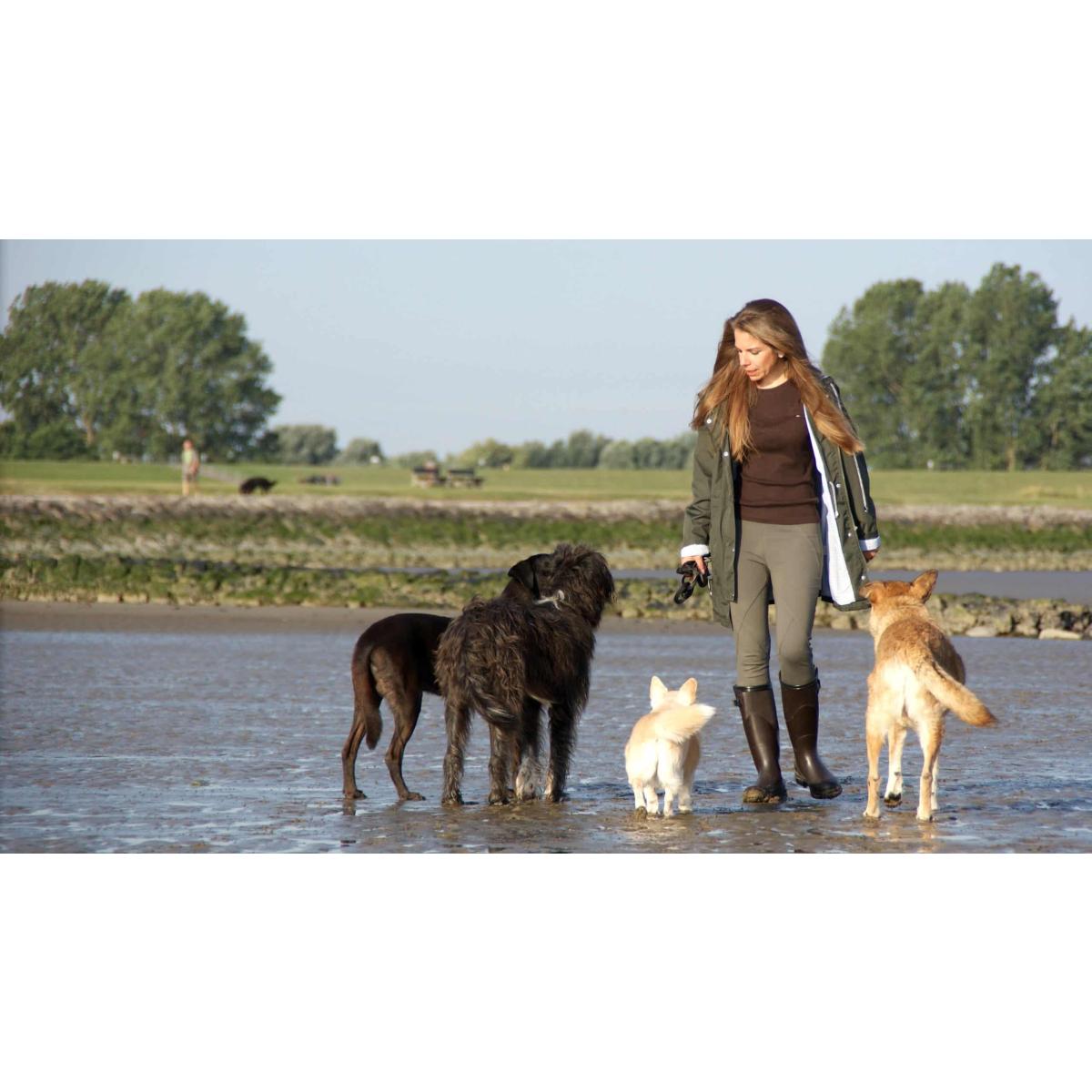 Problemhundetraining - Anna Stuhrmann in Goldbach in Unterfranken - Logo