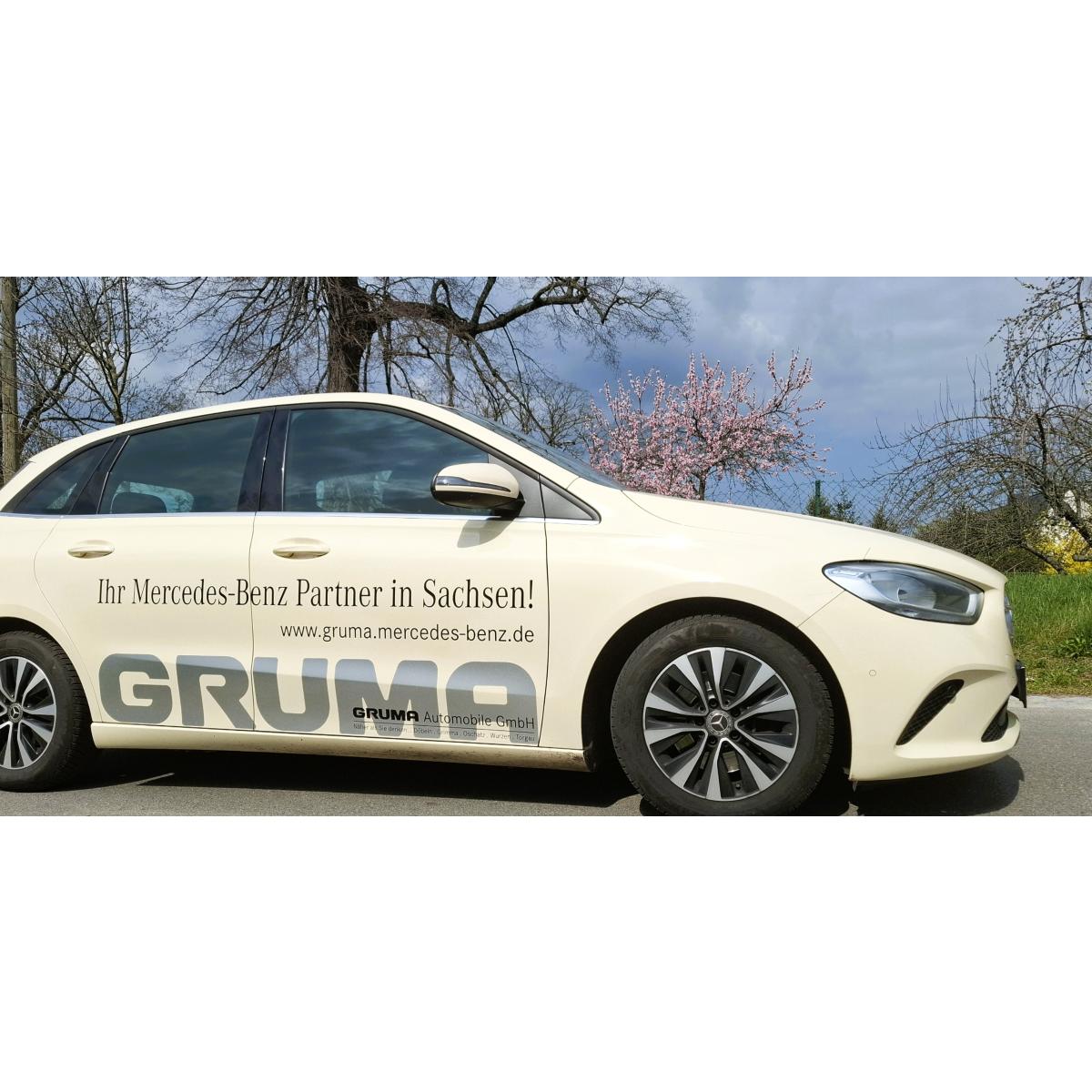 Kai Wallnisch Taxi und Mietwagen in Riesa - Logo