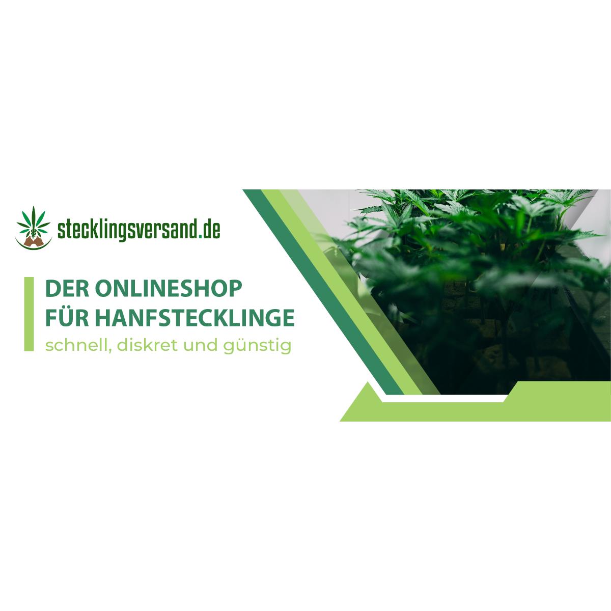 Stecklingsversand in Scharbeutz - Logo