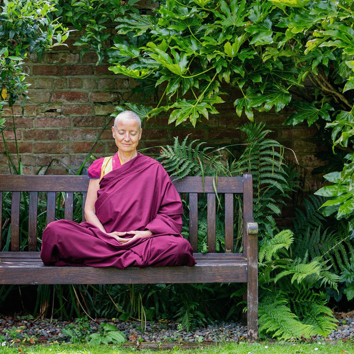 Kadampa Meditationszentrum Köln in Köln - Logo