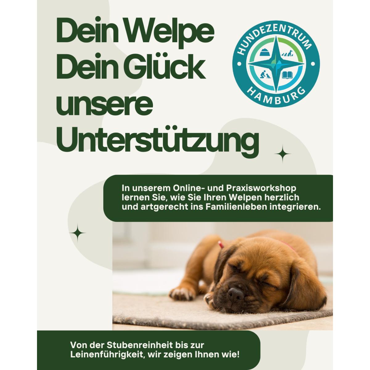 Hundezentrum Hamburg in Hamburg - Logo