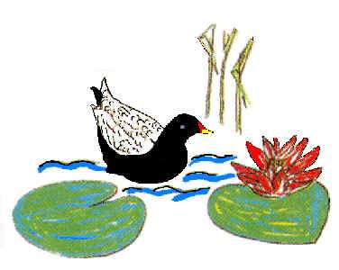 Rudower Wassergarten in Schönefeld bei Berlin - Logo