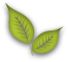 Ernährungsberatung und Prävention Graumann in Erfurt - Logo