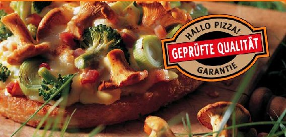 Hallo Pizza in Berlin - Logo