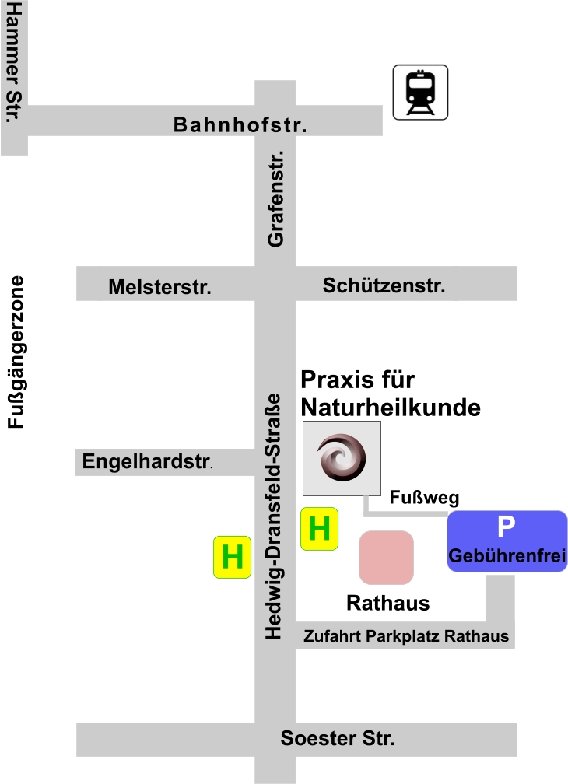 Maria Zocchetti Naturheilpraxis in Werl - Logo