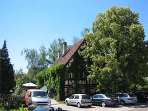 Weinstube Altes Rathaus in Nabern Gemeinde Kirchheim unter Teck - Logo