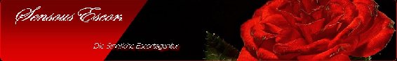 Sensous Escort in Berlin - Logo