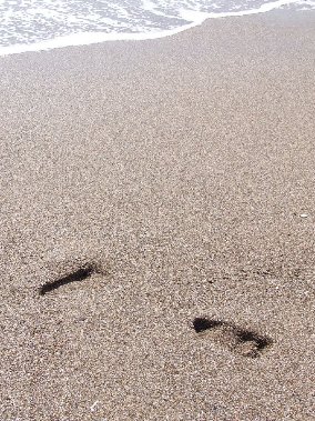 ReiseMensch.de - Dein Reisebüro in Wasungen in Wasungen - Logo