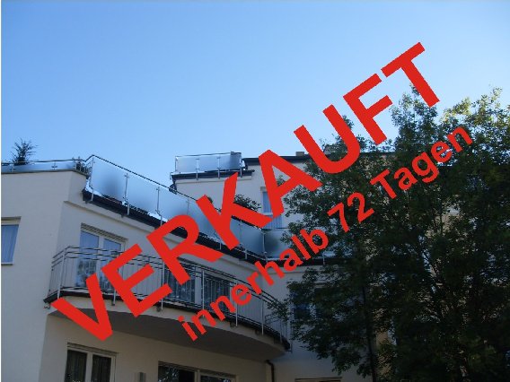 Immobilienbüro de Groot in Köln - Logo