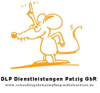 DLP Dienstleistungen Patzig GbR in Nossen - Logo