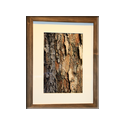 Naturfotografie Dorit Mrazek in Eppstein - Logo