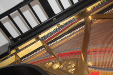 Sophies musikalische Welt in Regensburg - Logo