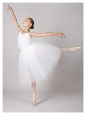 Ballettschule La Danse, Katinka Lang in Kleinmachnow - Logo