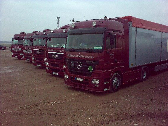 Michael Harms Transporte in Hilgermissen - Logo