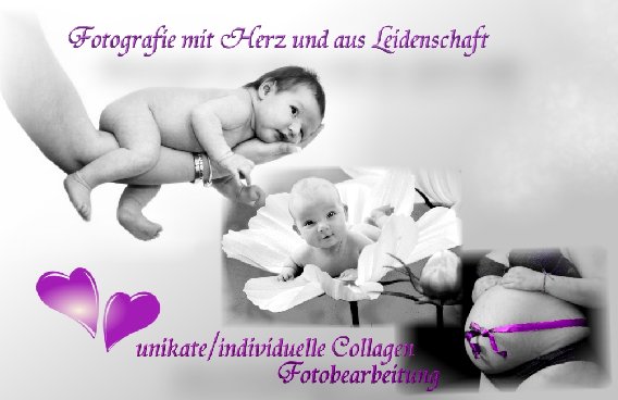 Madlens Fotozauber in Wallhöfen Gemeinde Vollersode - Logo