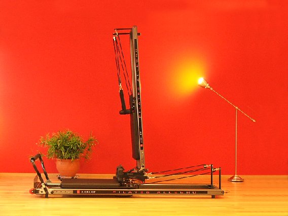 Bild