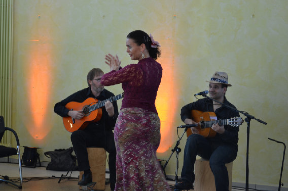 Flamenco Gitarre in Osnabrück - Logo